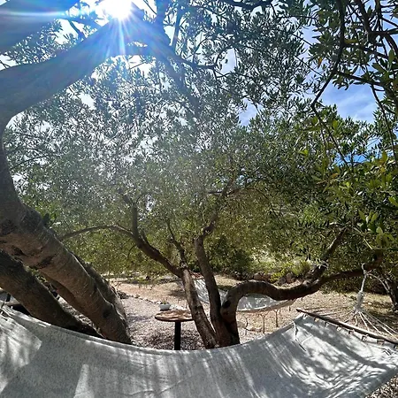 Olive Villa Dol (Brac)