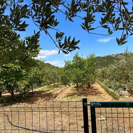 Olive Villa Dol (Brac)